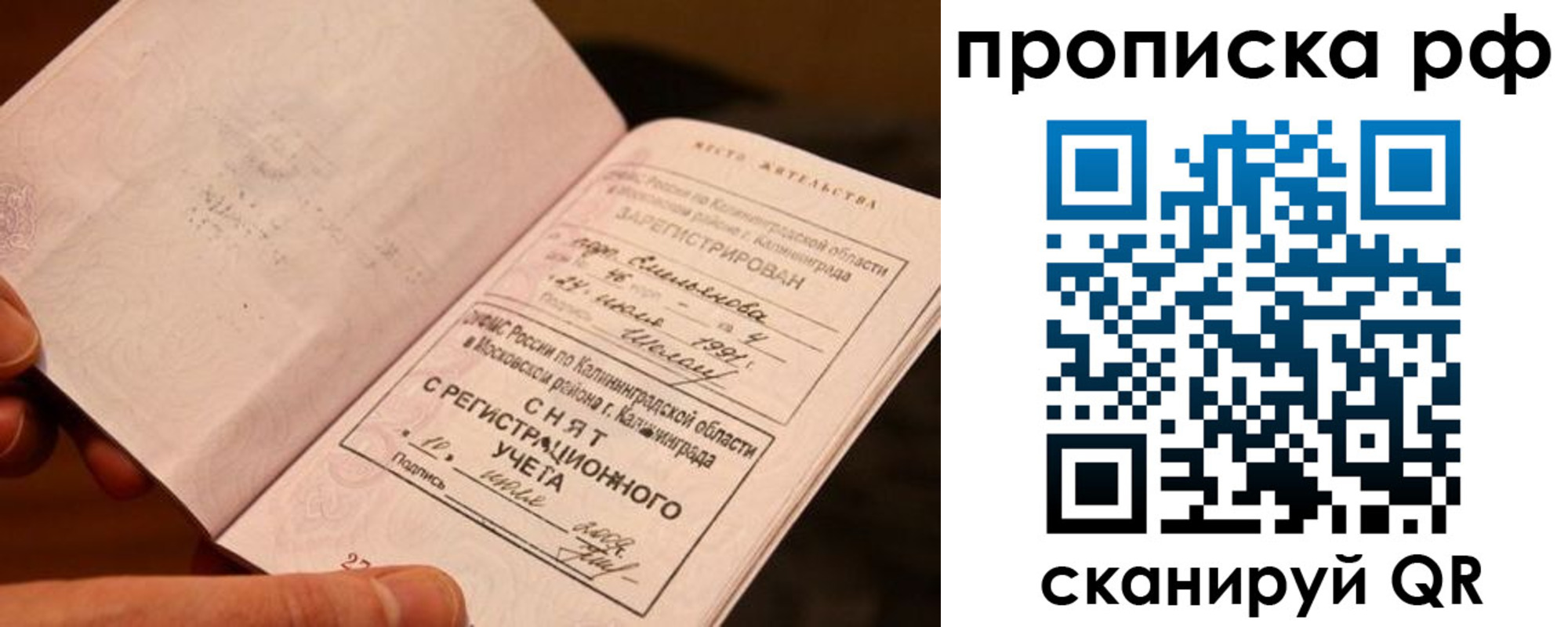 прописка гарантия в Новозыбкове
